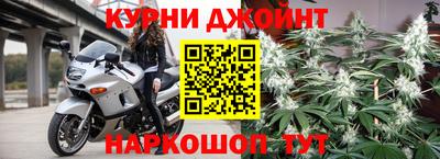 PSILOCYBIN Бузулук